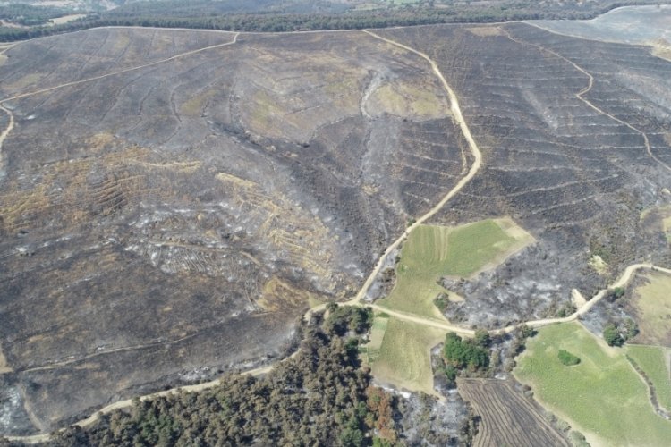 &Ccedil;anakkale'deki orman yangını sonrası hayat normale d&ouml;nmeye başladı