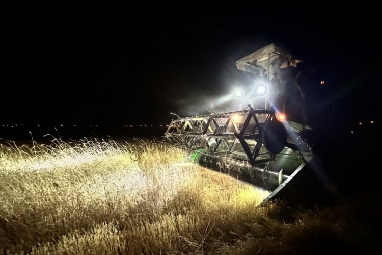 &Ccedil;ift&ccedil;iler aşırı sıcaklar nedeni ile gece &ccedil;alışıyor