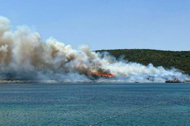 Urla'daki maki yangını enerji nakil hattından &ccedil;ıkmış