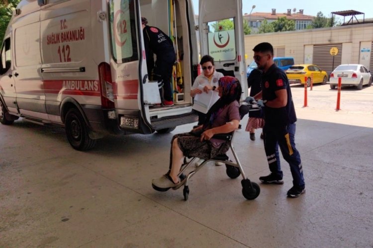 Bursa'da yaşlı kadına k&ouml;pek saldırdı! Hastaneye kaldırıldı