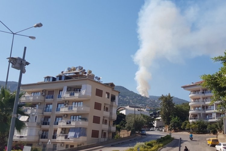 Antalya'da orman yangını
