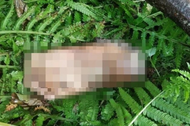 Artvin'de şoke eden anons! Ayak par&ccedil;ası...
