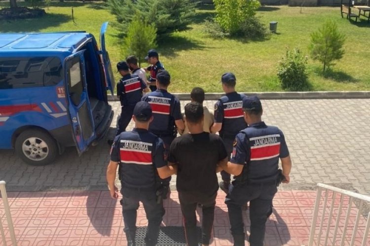 Diyarbakır'da b&uuml;y&uuml;kbaş hayvan &ccedil;alan 2 kişi tutuklandı