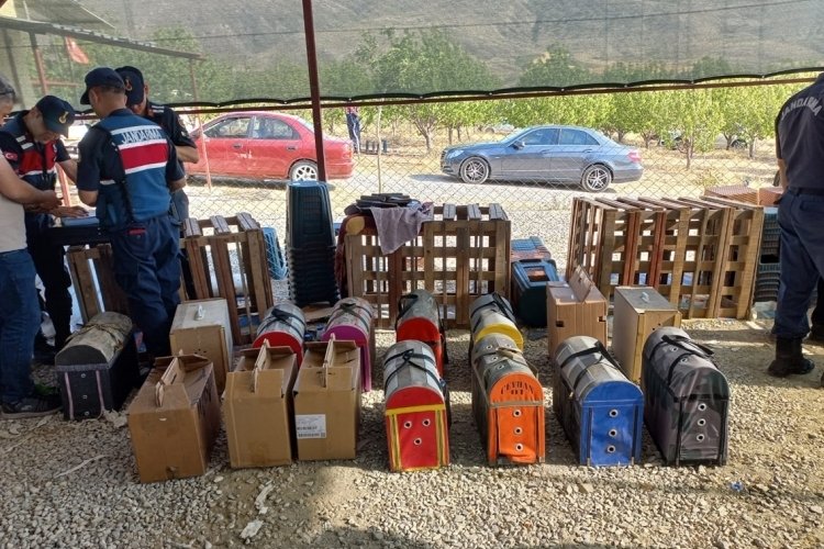 Niğde'de horoz d&ouml;v&uuml;şt&uuml;ren 71 kişi yakalandı