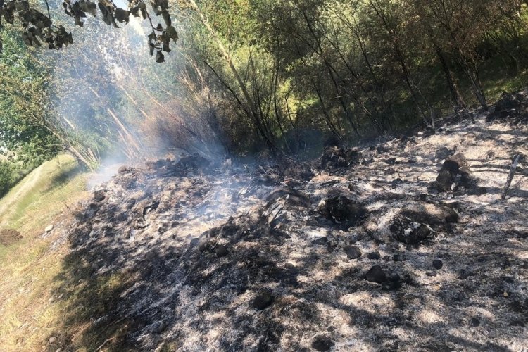 Erzincan Tercan'da &ouml;rt&uuml; yangını