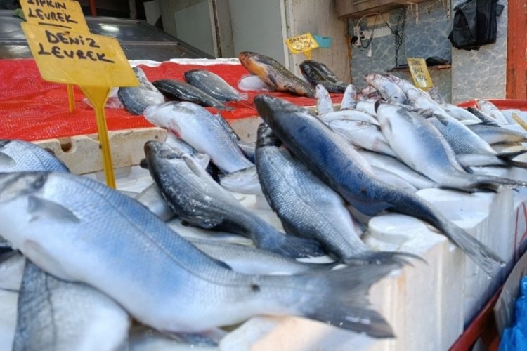 Samsun'da sıcak havada balığa rağbet yok