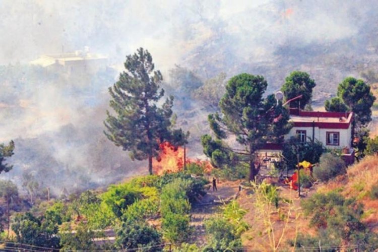 Kahramanmaraş'taki yangında 21 hektar alan k&uuml;l oldu
