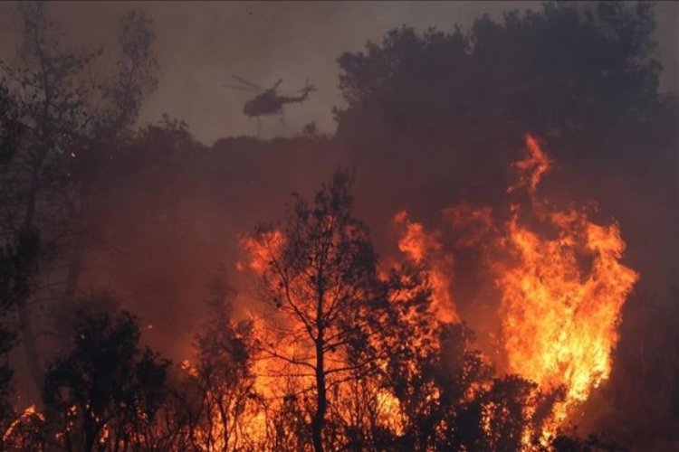 Rodos'tan sonra Korfu Adası'nda orman yangını &ccedil;ıktı