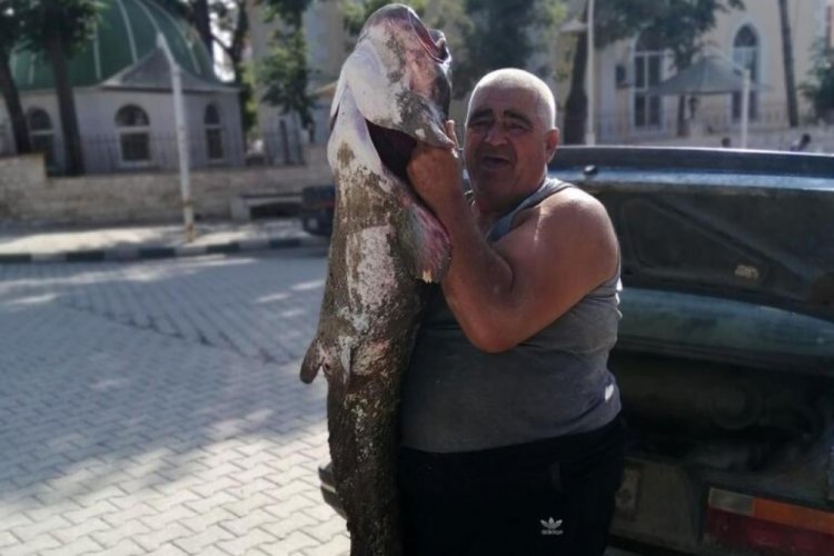 Edirne'de 2 metre boyunda ve 30 kg ağırlığında yayın balığı yakaladı