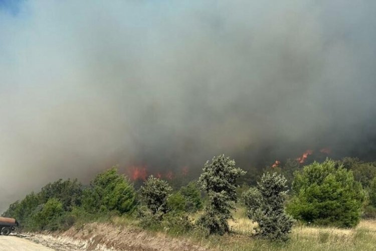 Manisa'daki orman yangınında 2'nci g&uuml;n! M&uuml;dahale devam ediyor