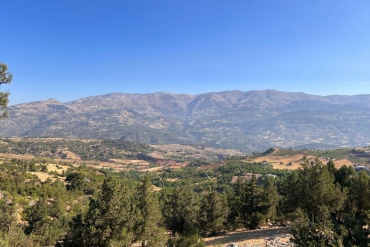 Kahramanmaraş'taki orman yangını s&ouml;nd&uuml;r&uuml;ld&uuml;