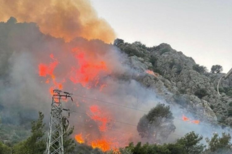 Muğla'daki yangının sebebi sigara izmariti &ccedil;ıktı