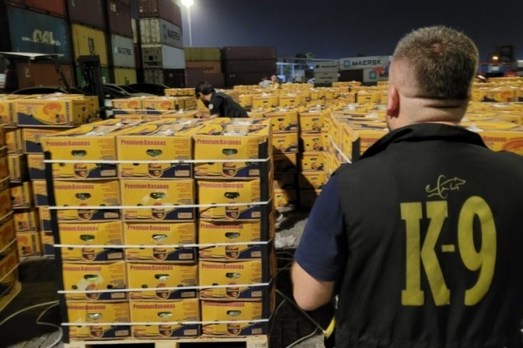 Mersin Limanı'nda 11 kilogram kokain ele ge&ccedil;irildi