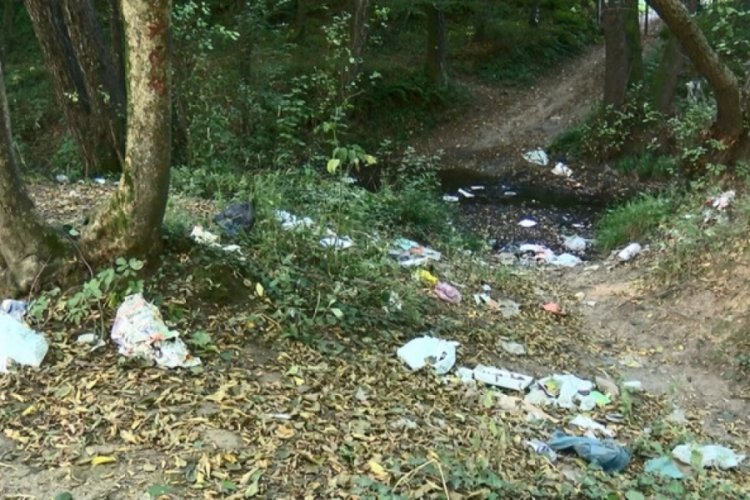 İstanbul'da Belgrad Ormanı &ccedil;&ouml;pl&uuml;ğe d&ouml;nd&uuml;!