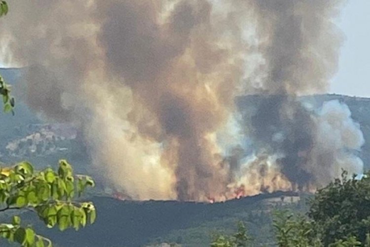K&uuml;tahya'da orman yangını! K&ouml;ylerde tahliye başladı