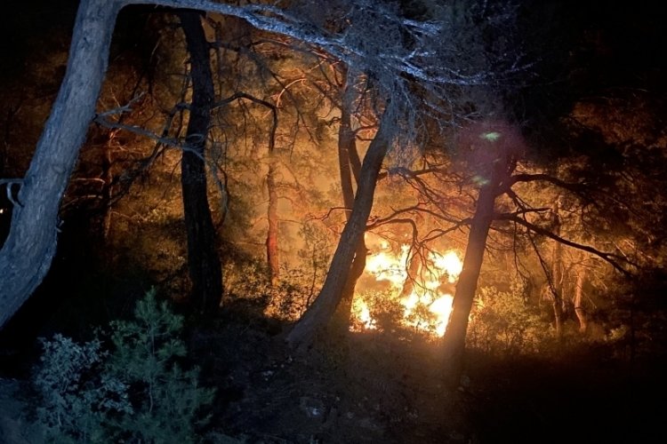 &Ccedil;anakkale'de orman yangını başladı