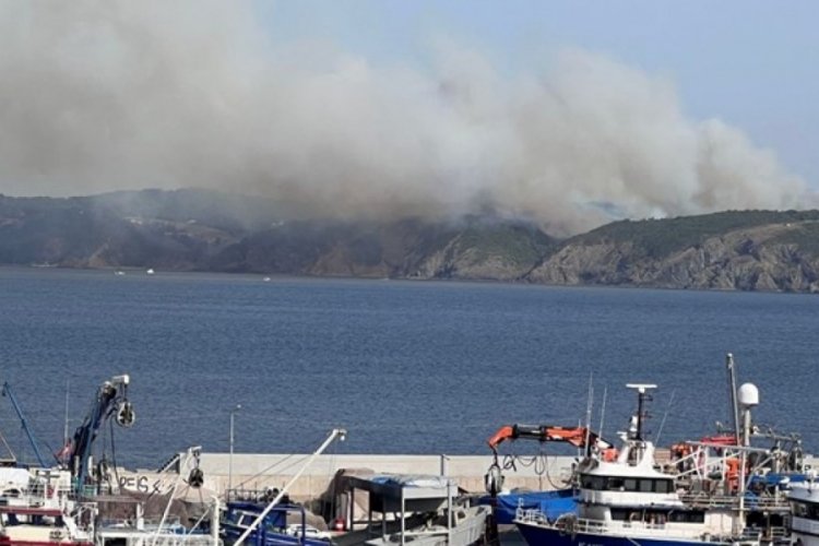 İstanbul Beykoz'daki orman yangınında son durum...