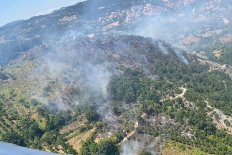 Balıkesir'de orman yangını! Havadan ve karadan m&uuml;dahale