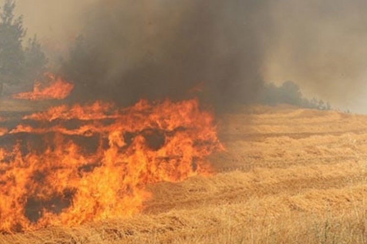 Isparta'da korkutan yangı! Ormanlık alana sı&ccedil;radı