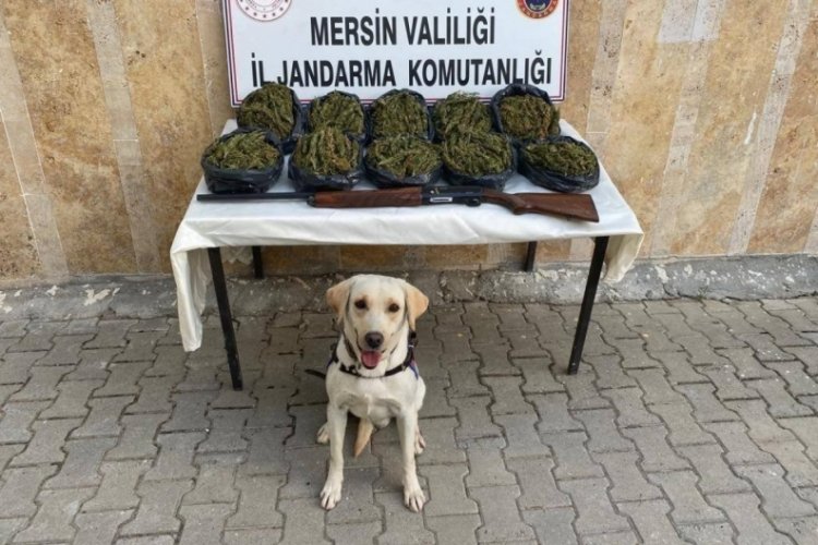 Mersin'de operasyon: 24 kilo skunk ele ge&ccedil;irildi