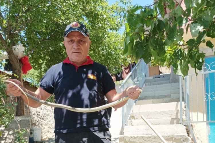 &Ccedil;orum'da eve yılan girdi