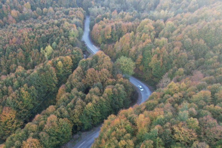 Zonguldak'ta ormanlara giriş yasaklandı