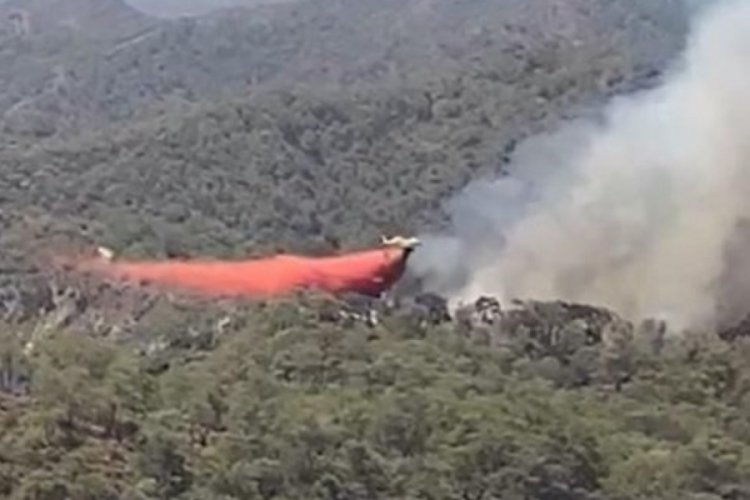 Muğla Fethiye'de orman yangını