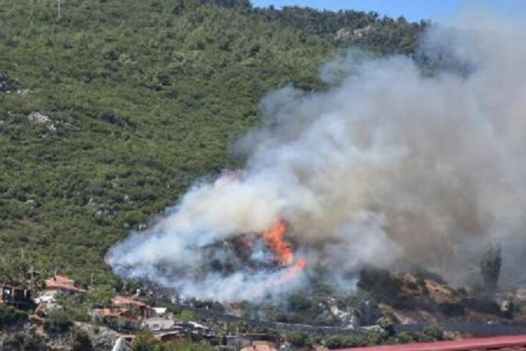 İzmir'de orman yangını!