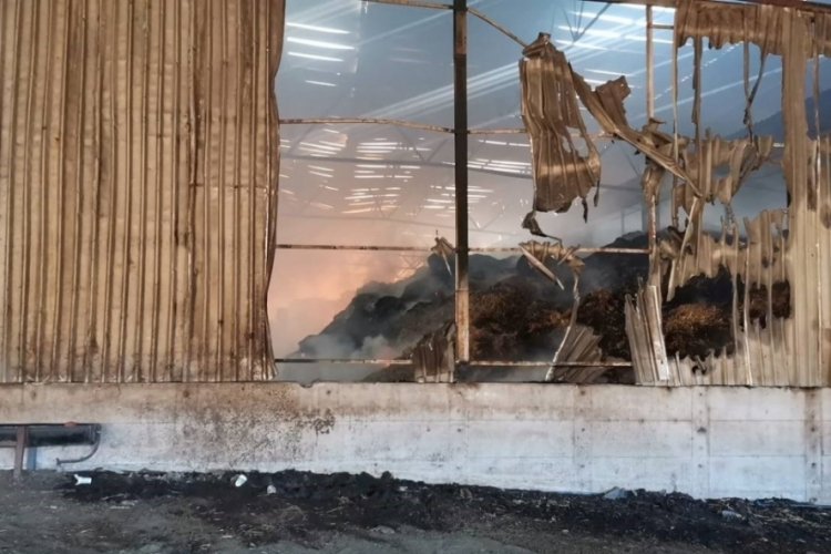 Balıkesir G&ouml;nen'de b&uuml;y&uuml;kbaş hayvan &ccedil;iftliğinde yangın &ccedil;ıktı