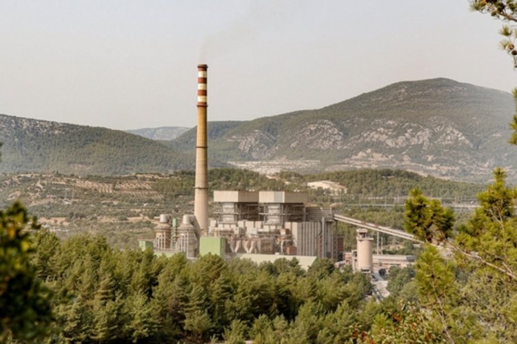 Akbelen Ormanı'na 130 bin fidan dikilecek