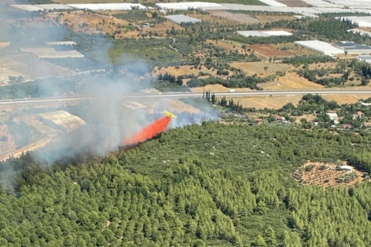 Antalya'nı Aksu il&ccedil;esinde orman yangını &ccedil;ıktı!