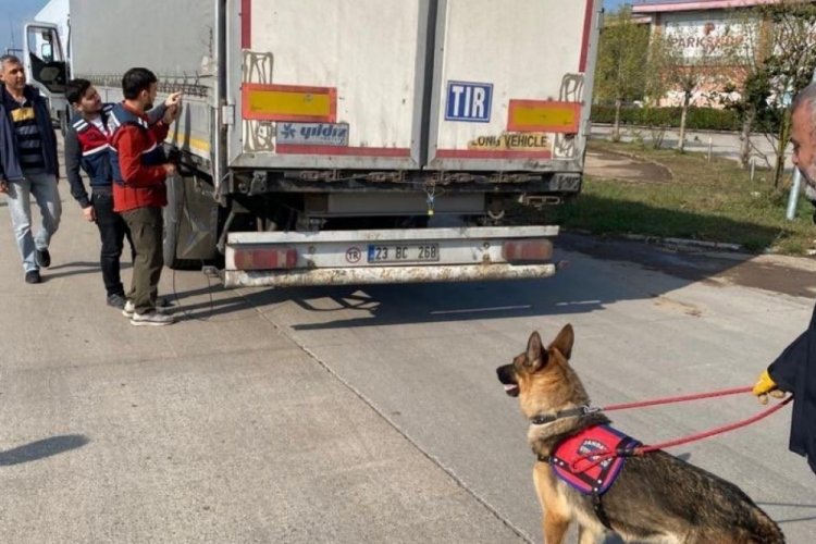Bakan Yerlikaya: Sakarya ve Hatay'da 9 g&ouml;&ccedil;men ka&ccedil;ak&ccedil;ısı organizat&ouml;r yakalandı