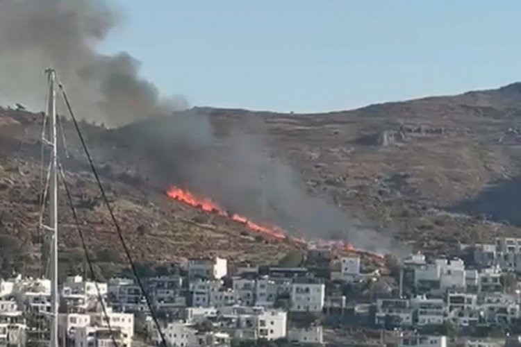 Bodrum T&uuml;rkb&uuml;k&uuml;'nde yangın