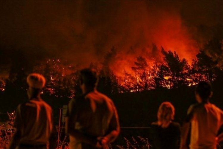 Orman yangınlarında hayatını kaybeden 151 kişi 'şehit' sayıldı
