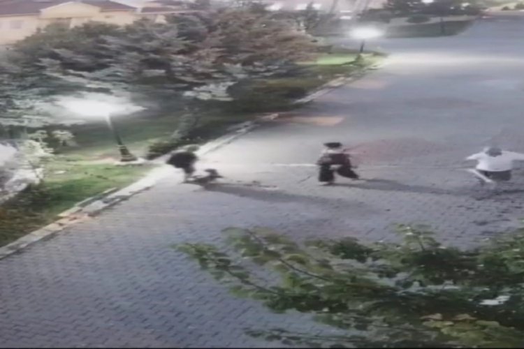 Ankara'da yaşlı kadına k&ouml;pek saldırdı