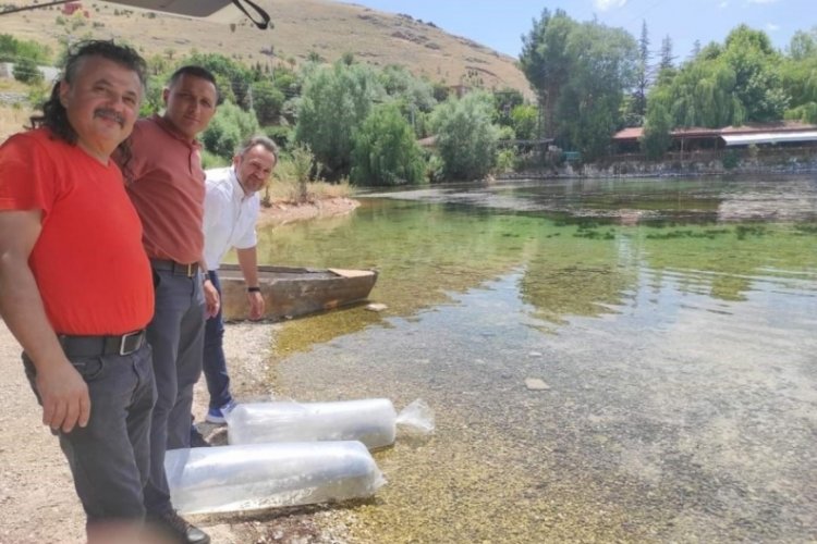 Afyonkarahisar'da 100 bin balık g&ouml;letlere bırakıldı