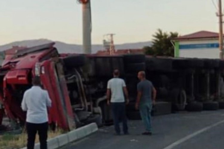 Elazığ'da b&uuml;y&uuml;kbaş hayvan taşıyan kamyon devrildi, 11 hayvan telef oldu