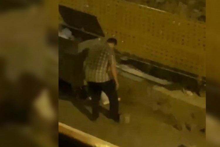 Trabzon'da 2 yavru kediyi ayağıyla ezerek &ouml;ld&uuml;rd&uuml;!
