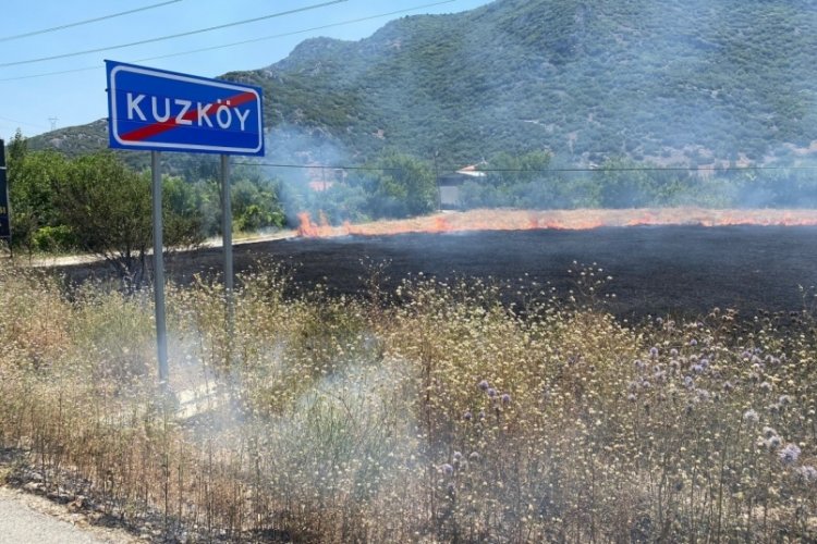 Burdur'da iki farklı yerde arazi yangını!
