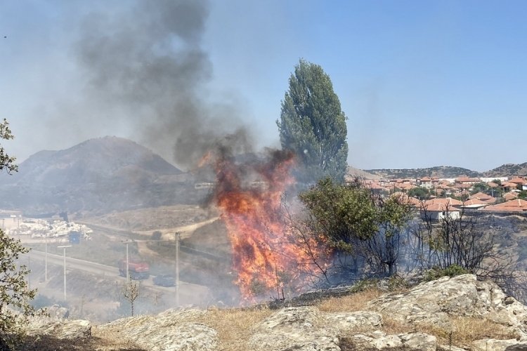 Manisa'da otluk alanda &ccedil;ıkan yangın 30 d&ouml;n&uuml;mde etkili oldu
