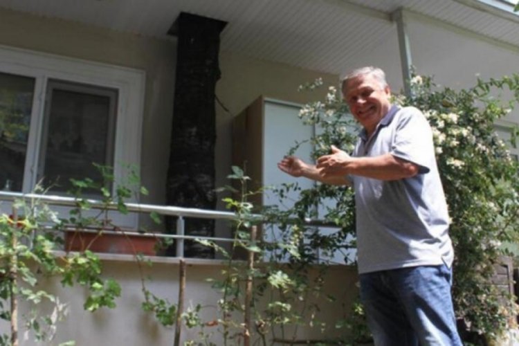 Ordu'da ağacı kesmeye kıyamadı, başka bir yola başvurdu