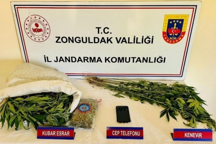 Zonguldak'ta uyuşturucu operasyonu! 1 tutuklama