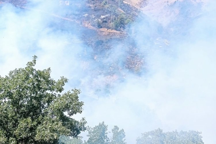 Malatya'da orman yangını &ccedil;ıktı