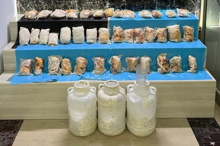 Bitlis'te 9 kilo 317 gram uyuşturucu ele ge&ccedil;irildi
