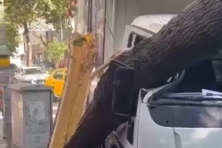 Bursa'da ağa&ccedil; kamyonetin &uuml;zerine devrildi
