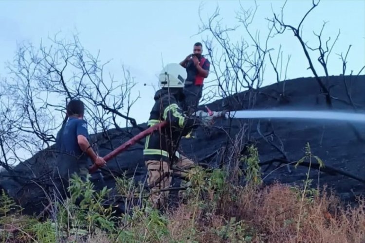 Hatay'da ağa&ccedil;lık ve makilik alanda &ccedil;ıkan yangın s&ouml;nd&uuml;r&uuml;ld&uuml;