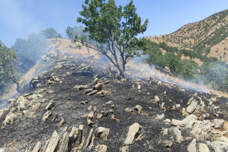 Siirt'te ormanlık alanda &ccedil;ıkan yangın s&ouml;nd&uuml;r&uuml;ld&uuml;