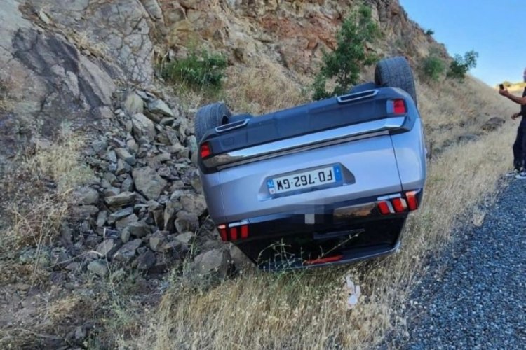 Yola &ccedil;ıkan yılanı ezmemek i&ccedil;in direksiyonu kırdı, aracı takla attı