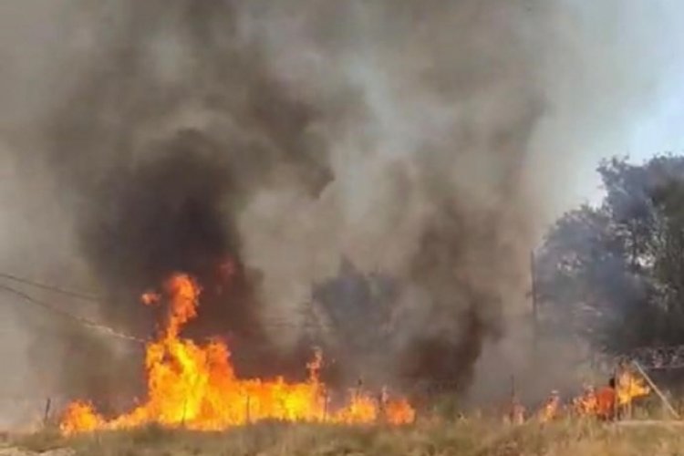 Isparta'da sazlık alanda yangın