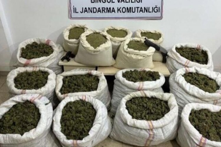 Bing&ouml;l'de 11 milyon 282 bin 574 k&ouml;k Hint keneviri ele ge&ccedil;irildi